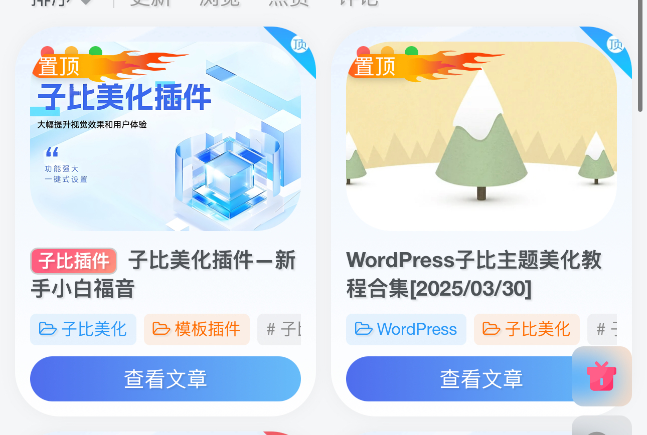 子比主题美化 – 通过CSS代码实现文章置顶动态美化效果-凌久源码网